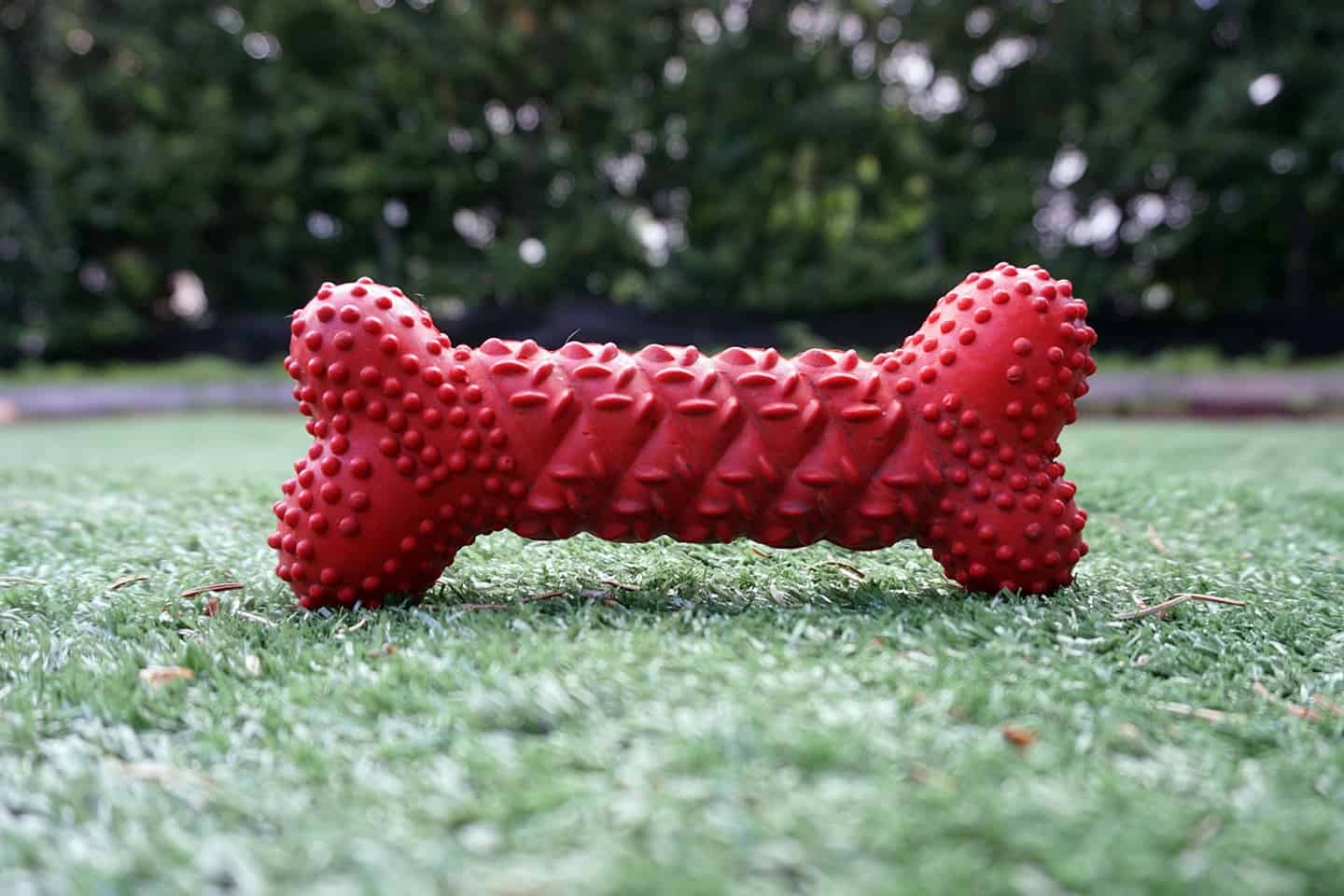 Nylabone Rubber Braided Bone Review Chew Test