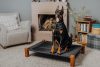 Are Elevated Dog Beds Good for Your Dog