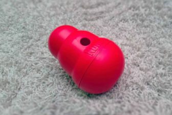 Kong Wobbler Review