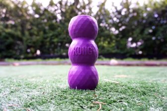 Kong Genius Mike Review
